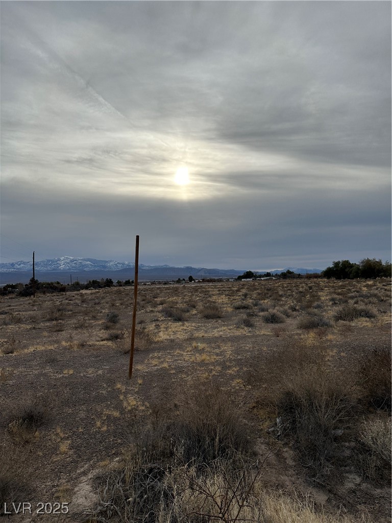 2473 Balzar Street Property Photo 8