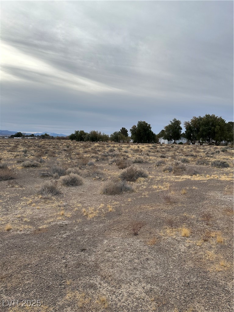 2473 Balzar Street Property Photo 12