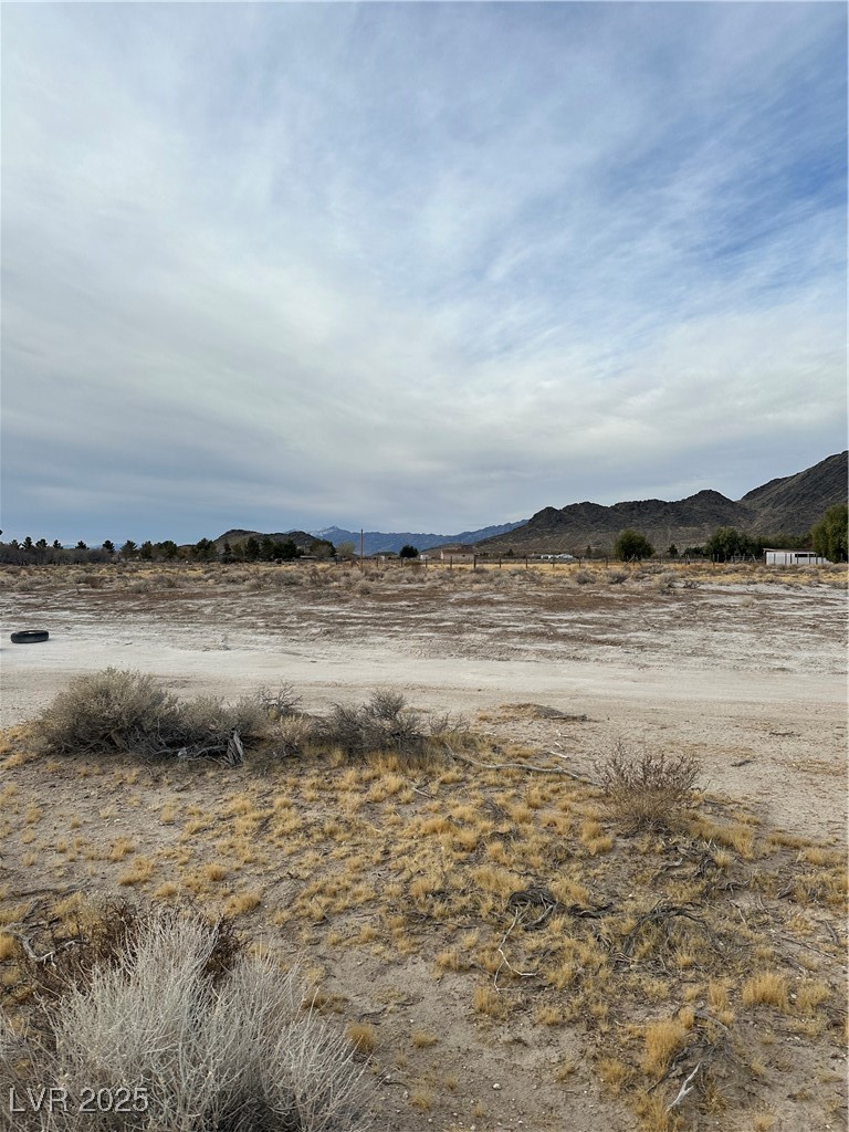 2473 Balzar Street Property Photo 14