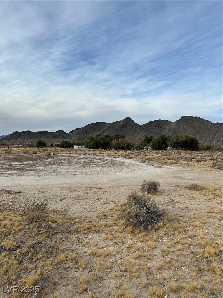 2473 Balzar Street Property Photo 15