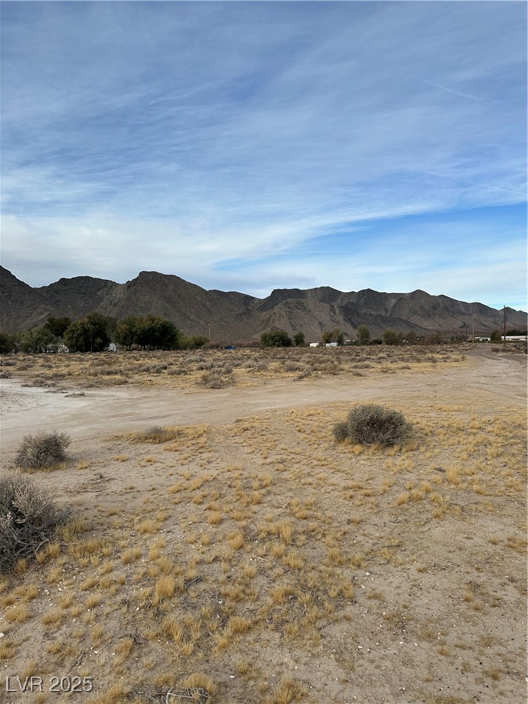 2473 Balzar Street Property Photo 16