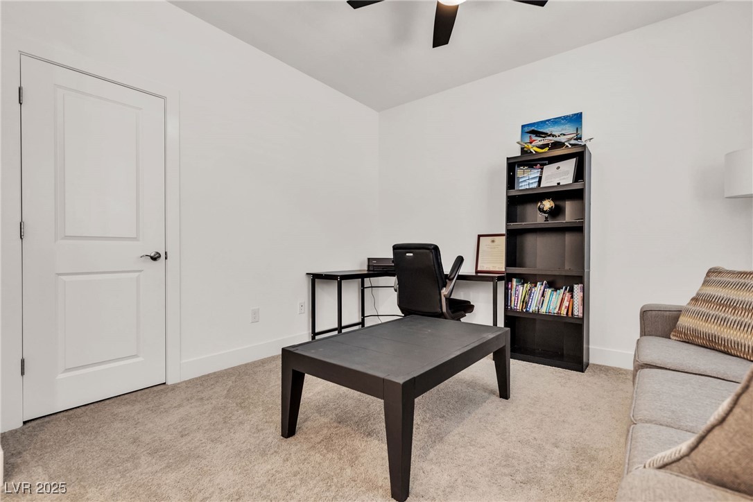 10122 Mystic Falls Drive Property Photo 23