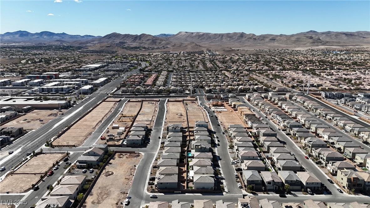 10122 Mystic Falls Drive Property Photo 53