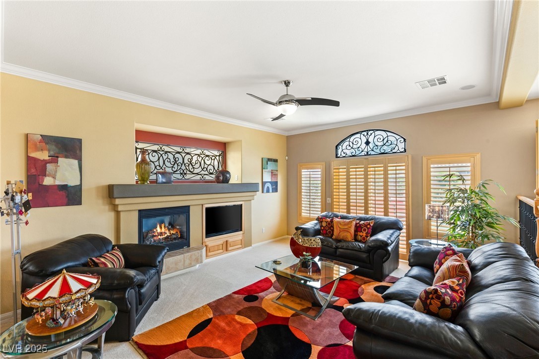 10892 Royal Highlands Street Property Photo 4