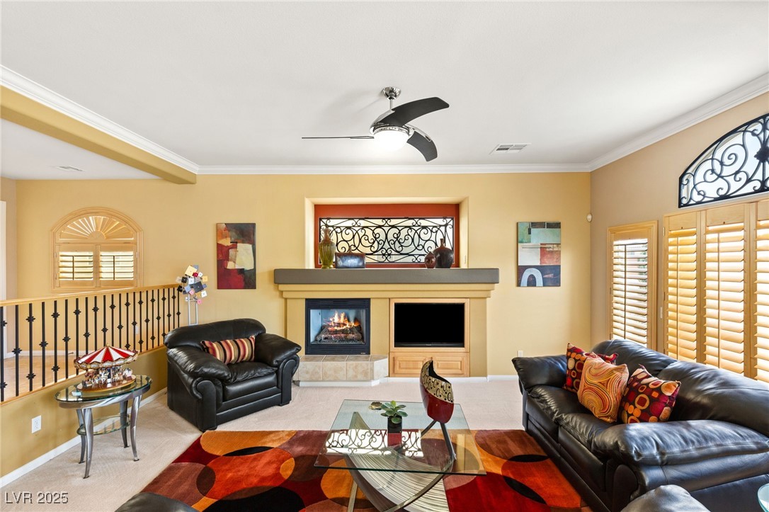 10892 Royal Highlands Street Property Photo 5