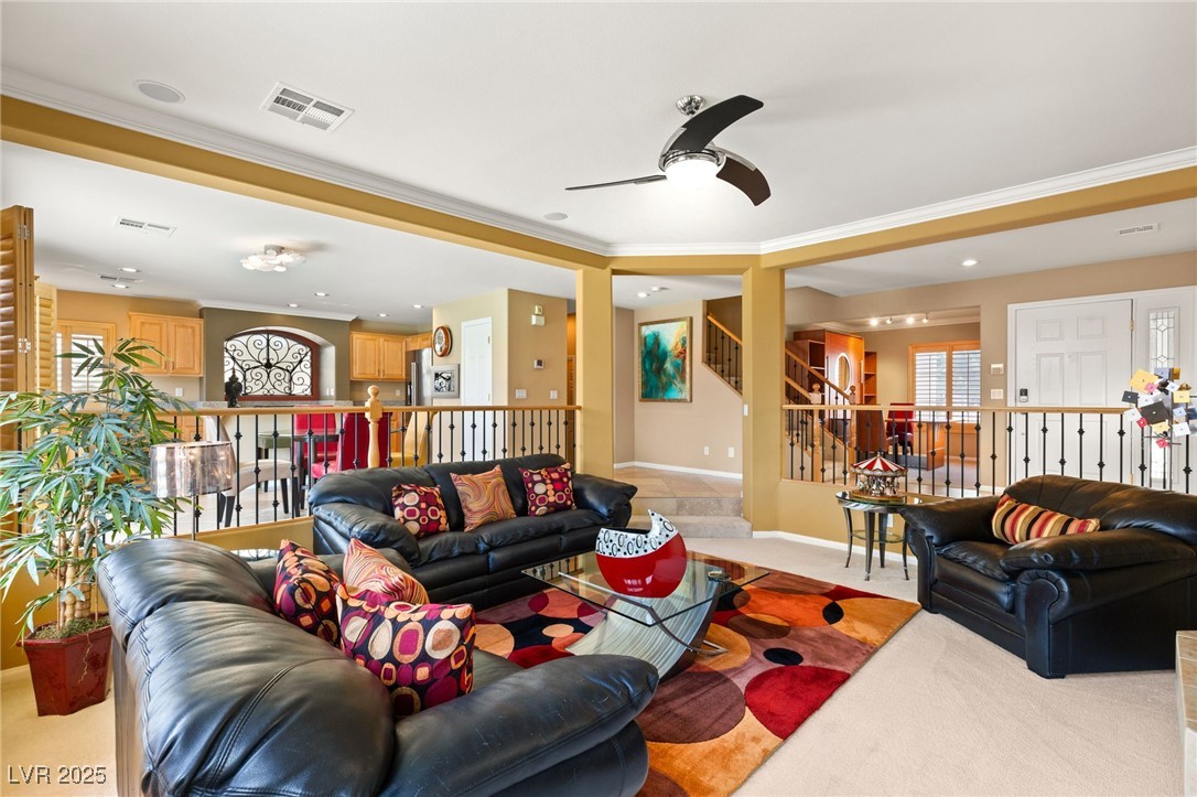 10892 Royal Highlands Street Property Photo 6
