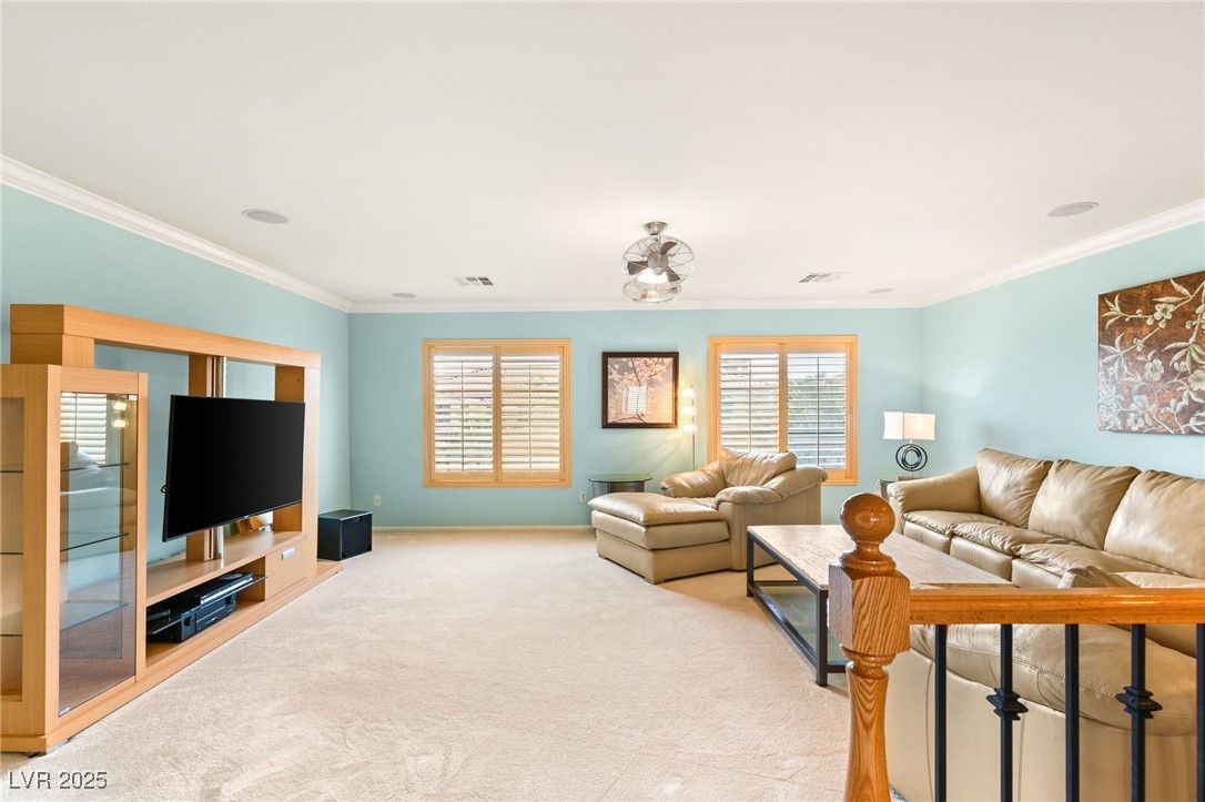 10892 Royal Highlands Street Property Photo 20
