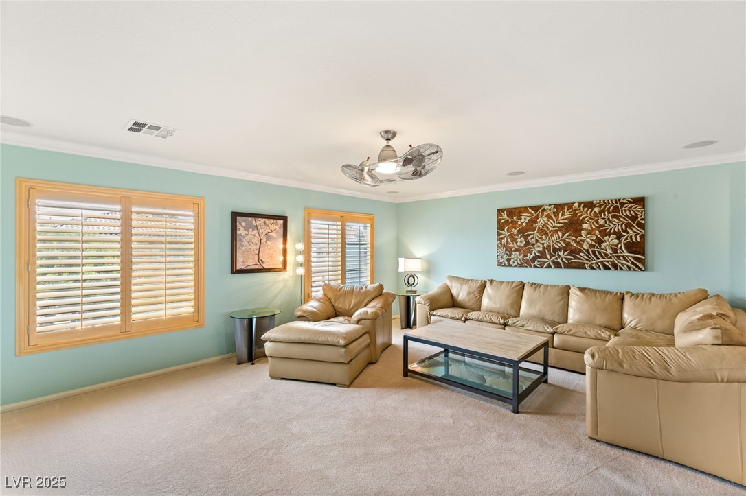10892 Royal Highlands Street Property Photo 21