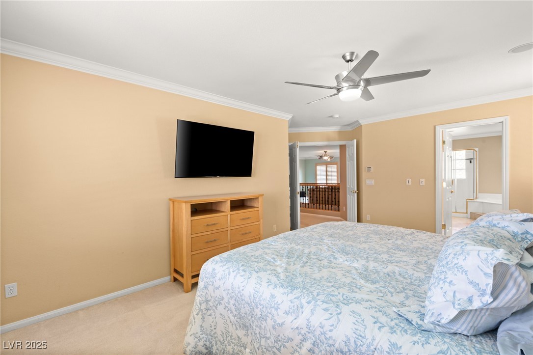 10892 Royal Highlands Street Property Photo 25