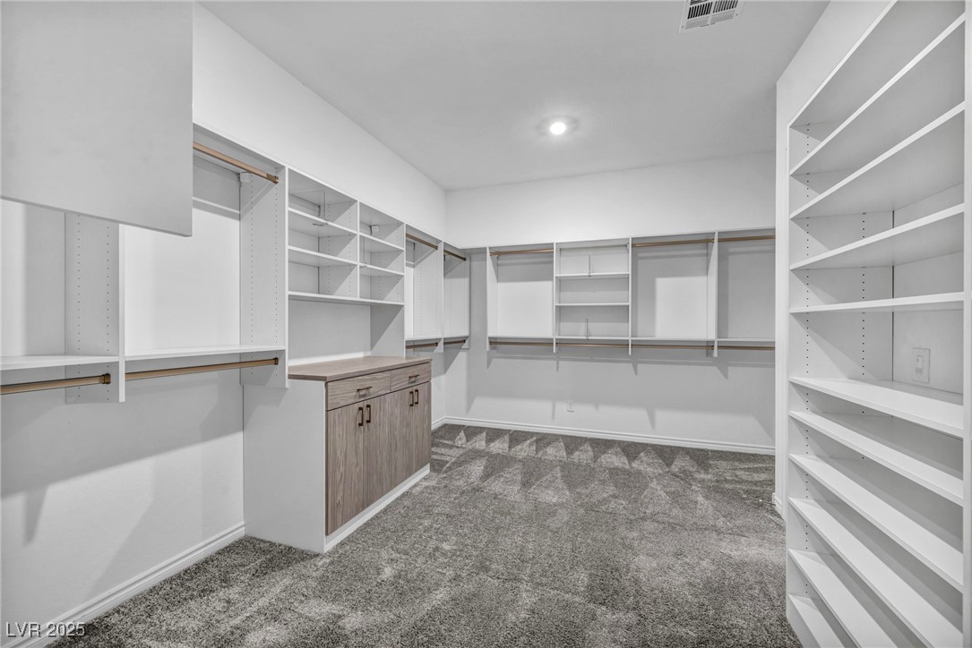 10062 Mountain Foothills Avenue Property Photo 31