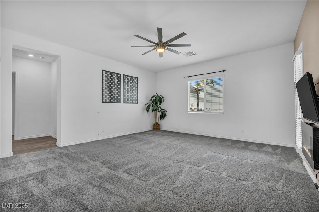 10062 Mountain Foothills Avenue Property Photo 45
