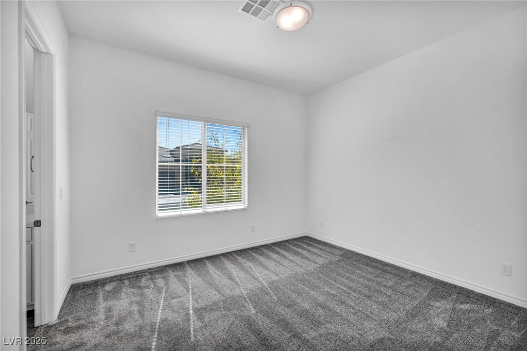 10062 Mountain Foothills Avenue Property Photo 58