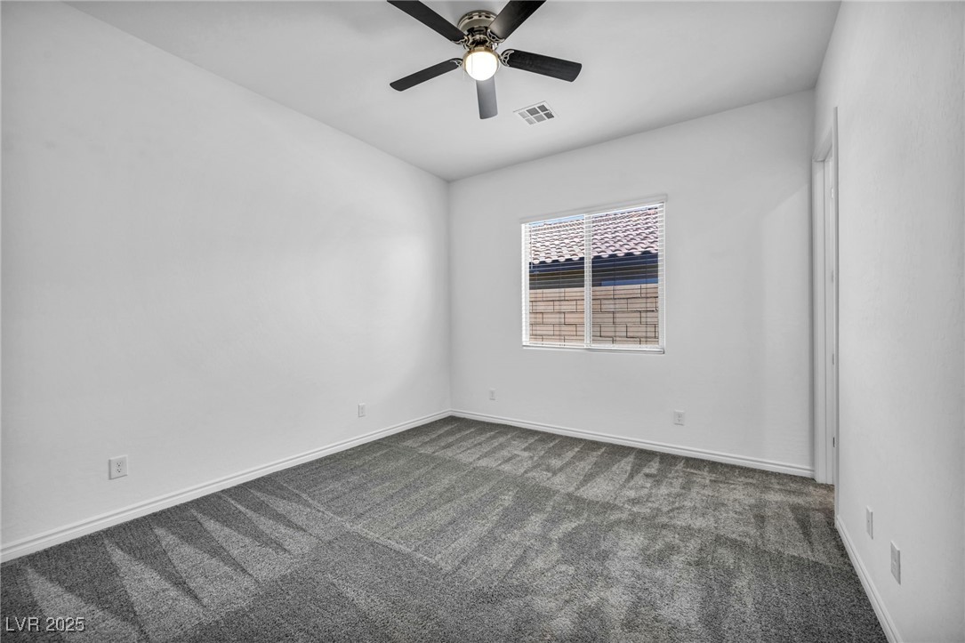 10062 Mountain Foothills Avenue Property Photo 76