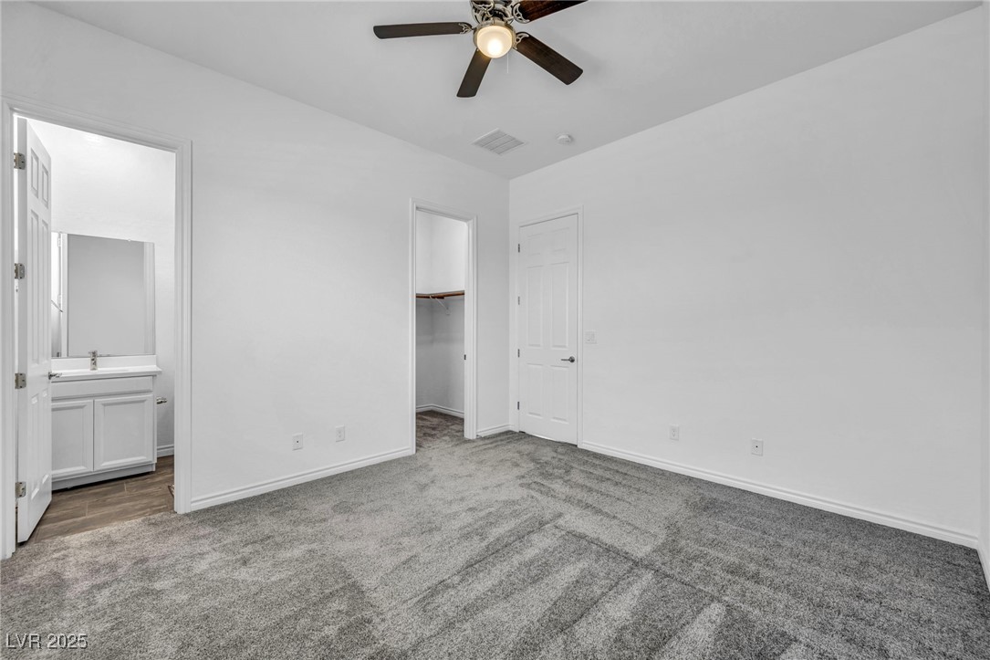 10062 Mountain Foothills Avenue Property Photo 77