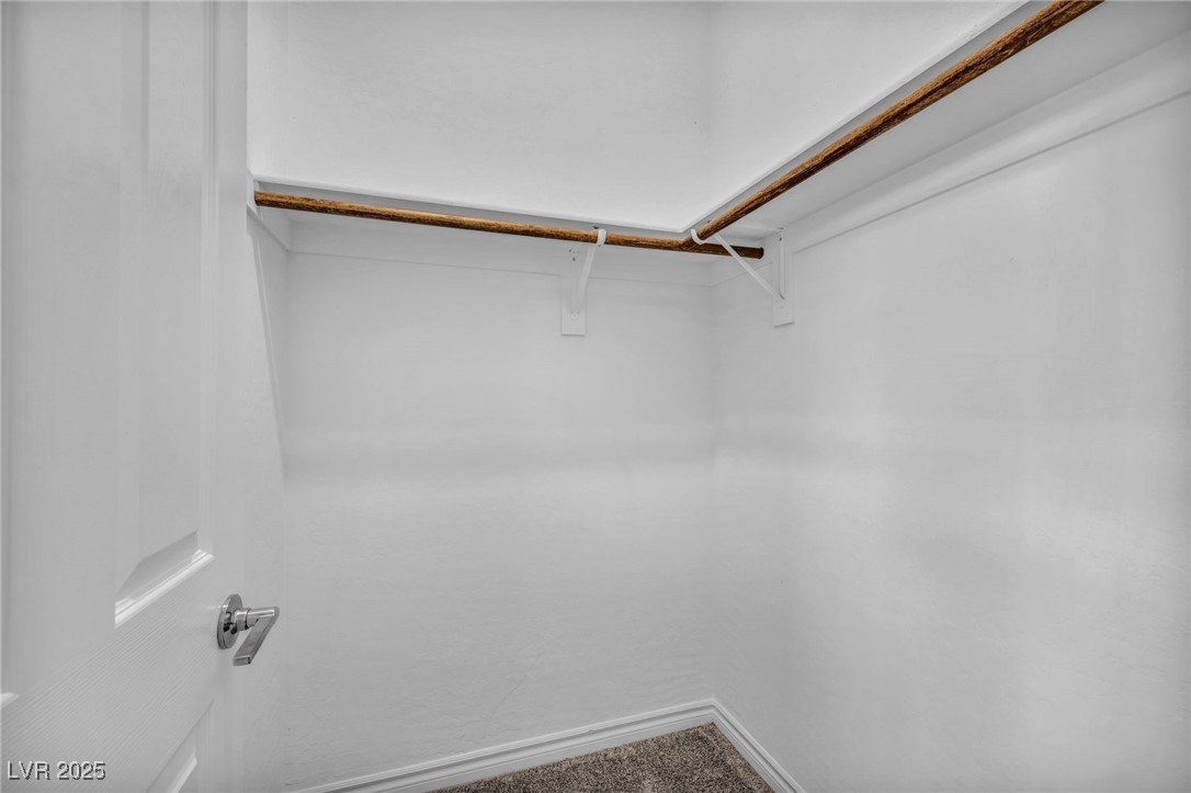 10062 Mountain Foothills Avenue Property Photo 79