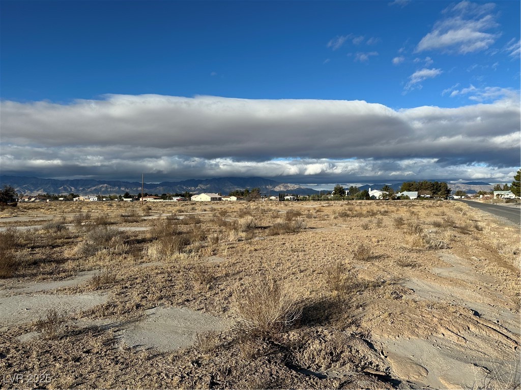 1411 East Cavalry Street Property Photo 2