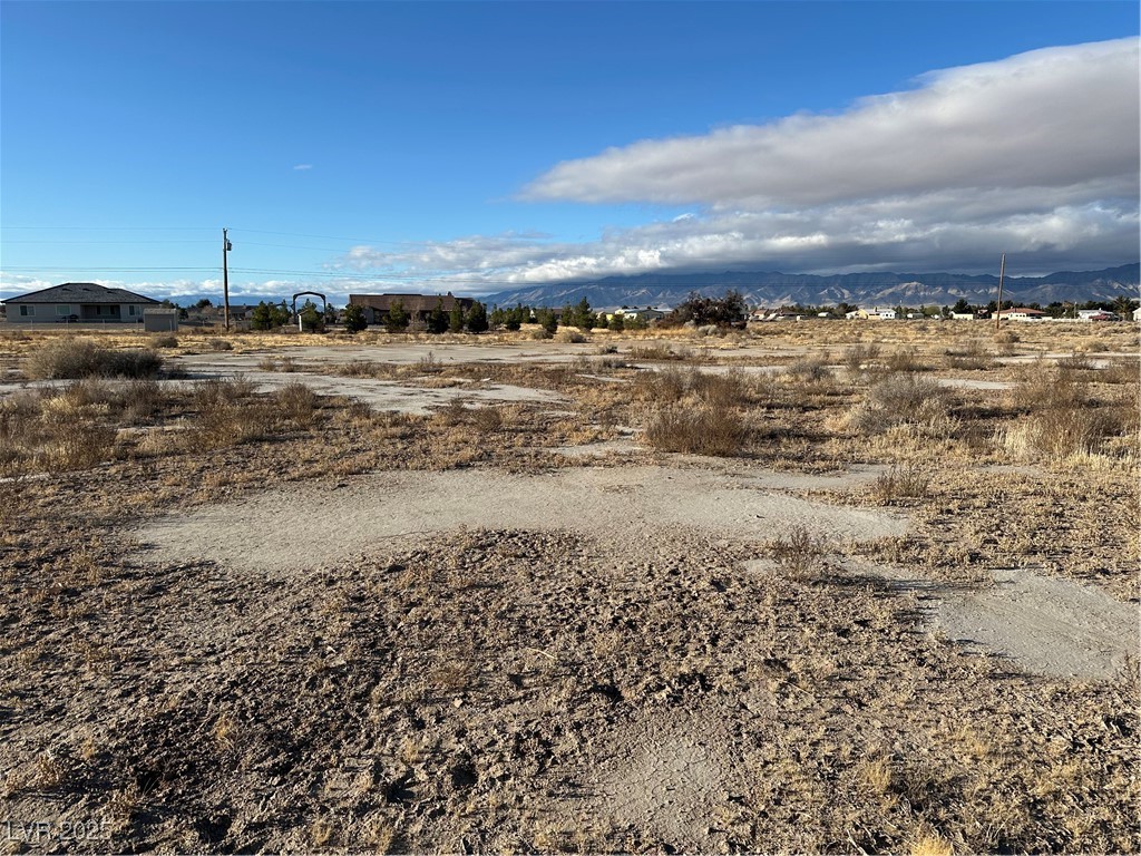 1411 East Cavalry Street Property Photo 3