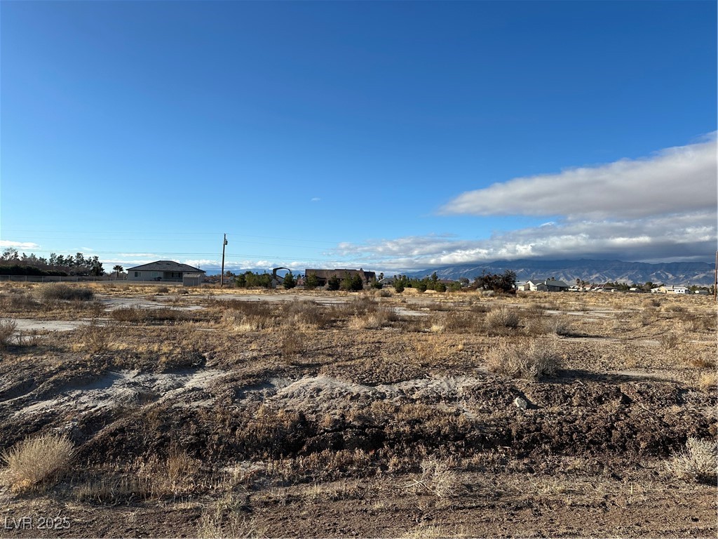 1411 East Cavalry Street Property Photo 4