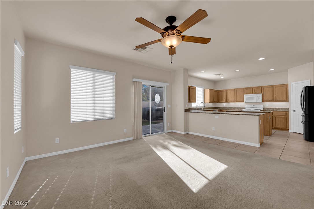 8036 Maple Park Street Property Photo 50