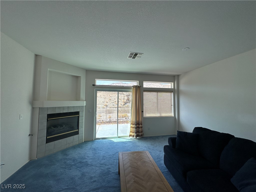 3213 Partridge Run Street Property Photo 6