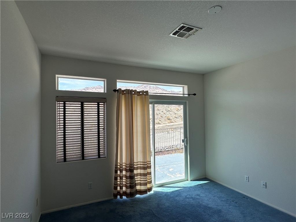 3213 Partridge Run Street Property Photo 13