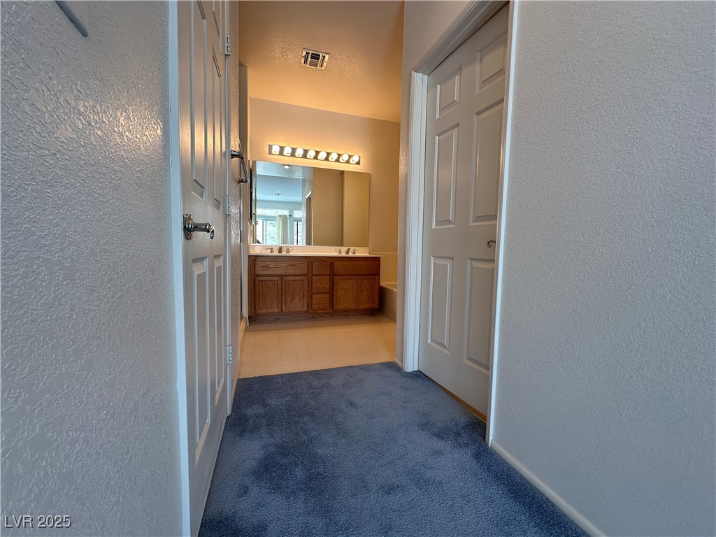 3213 Partridge Run Street Property Photo 17