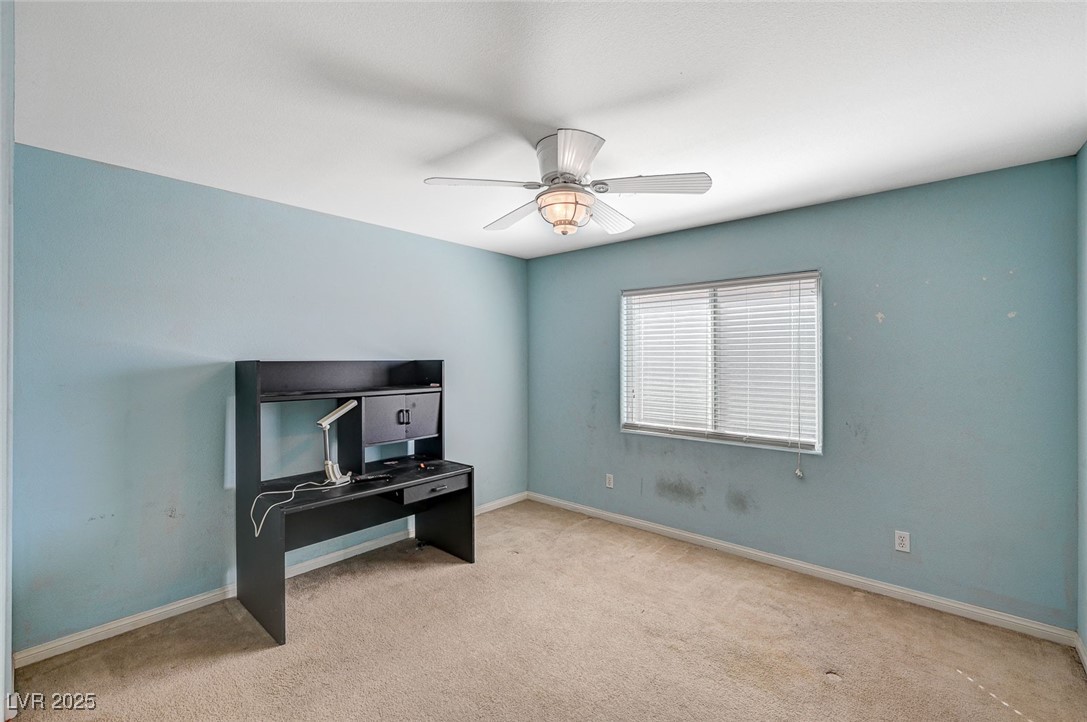 317 Shimmering Moon Street Property Photo 49