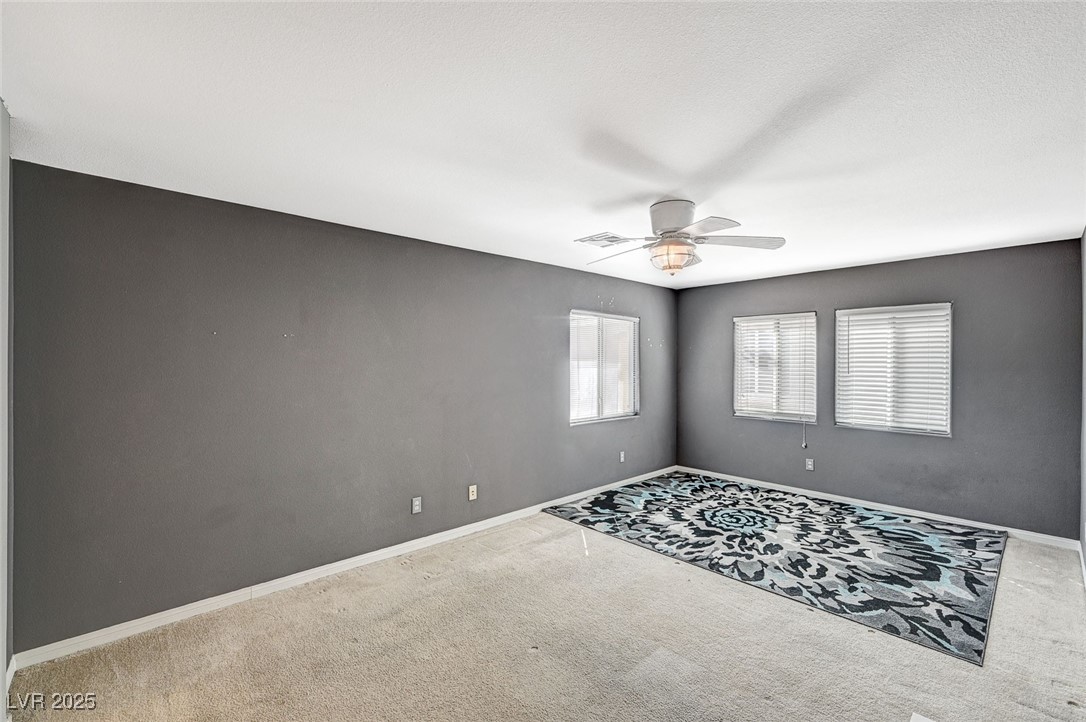 317 Shimmering Moon Street Property Photo 51