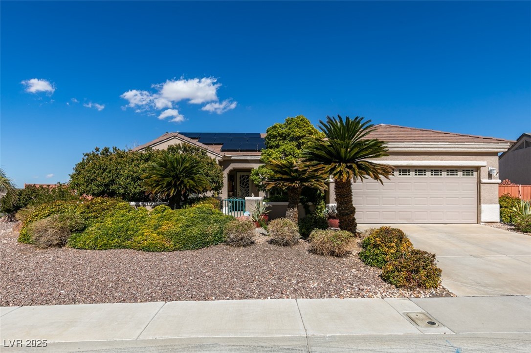 2184 Tiger Willow Drive Property Photo