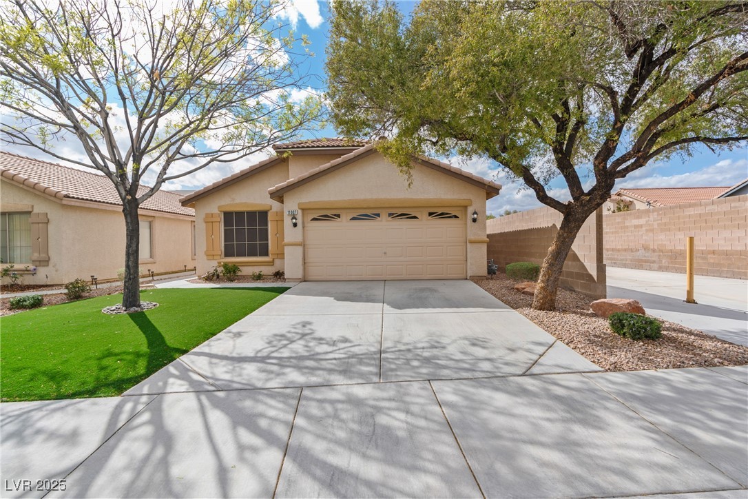 11007 Vallerosa Street Property Photo