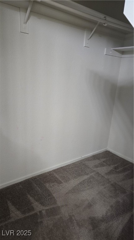 7904 Limbwood Court Property Photo 11