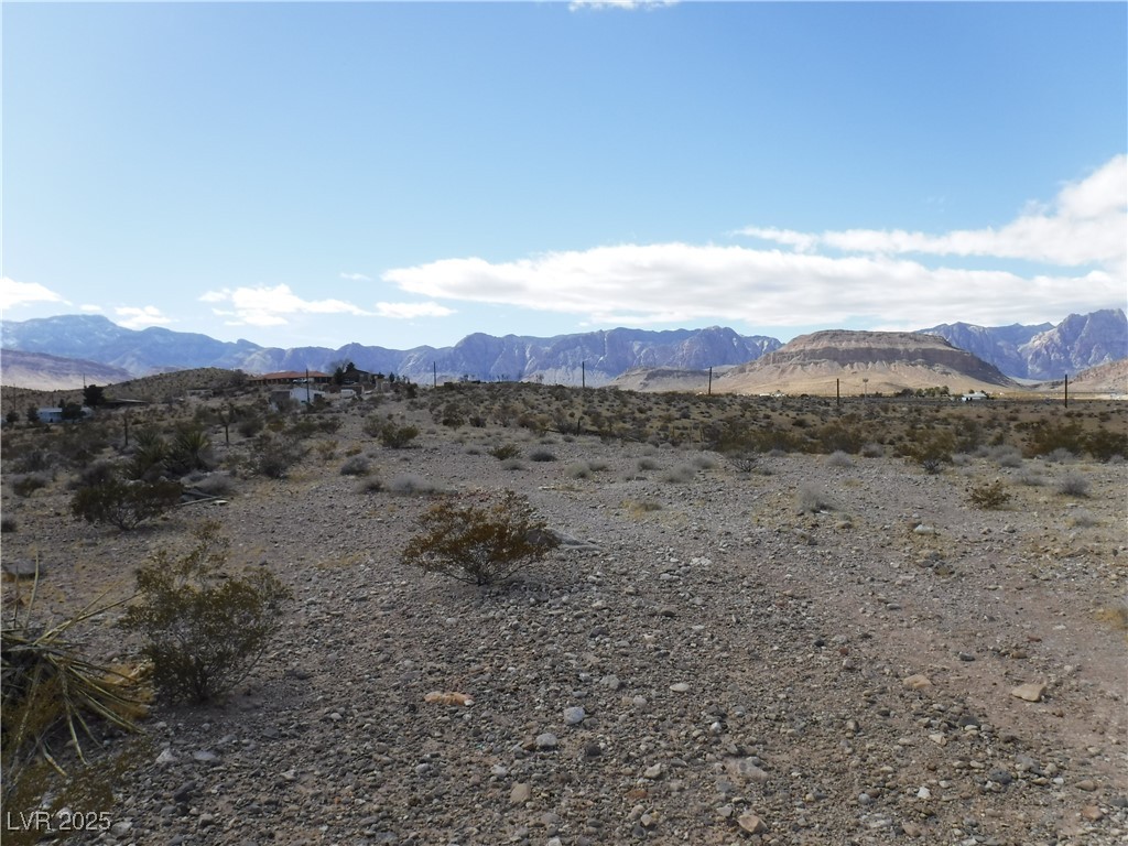 Cougar Property Photo