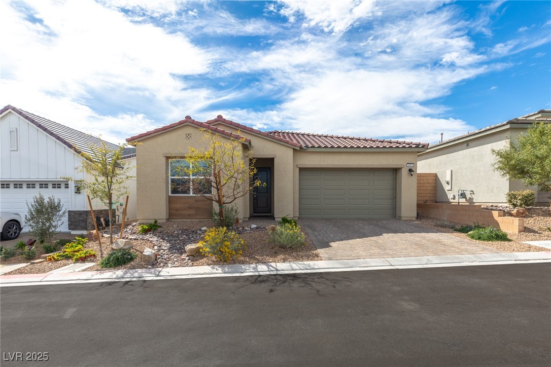 9993 Skye Gazer Avenue Property Photo