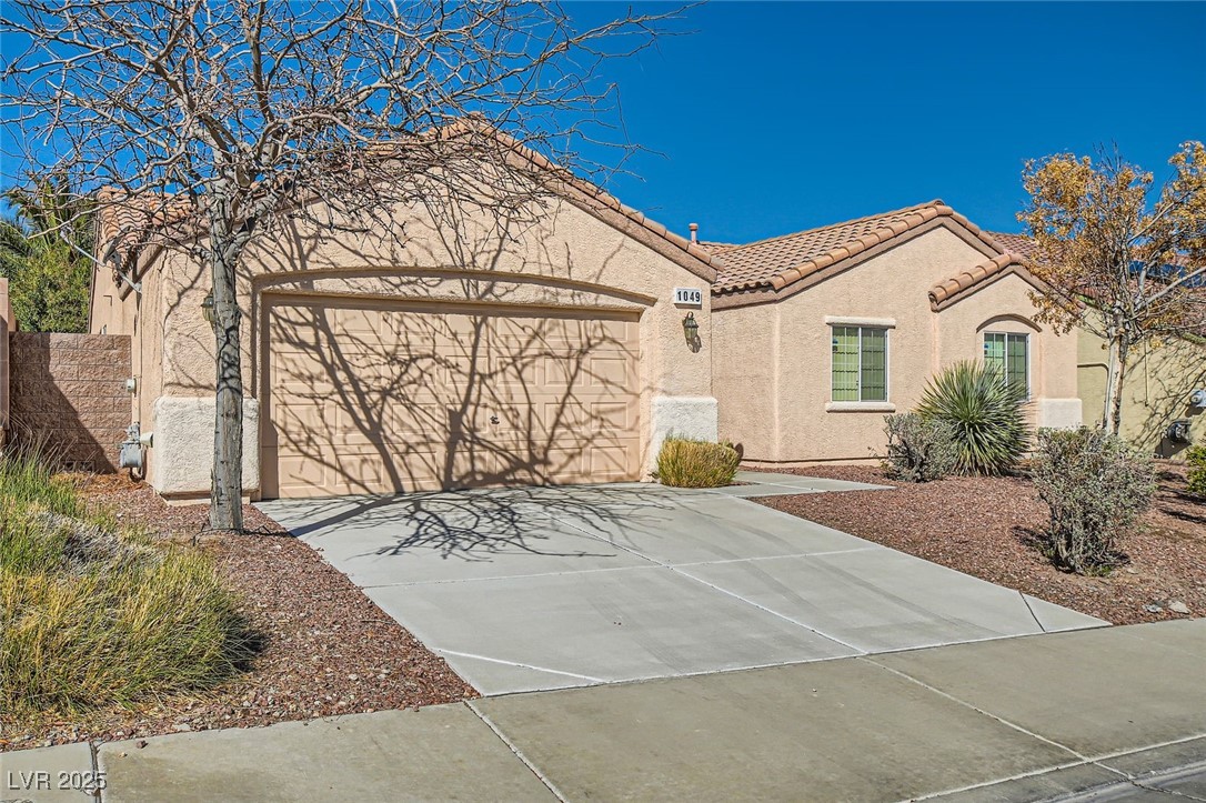 1049 Desert Olive Court Property Photo