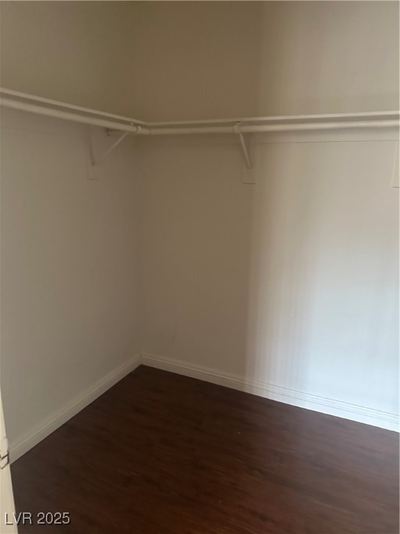 3637 Pinnate Drive Property Photo 17