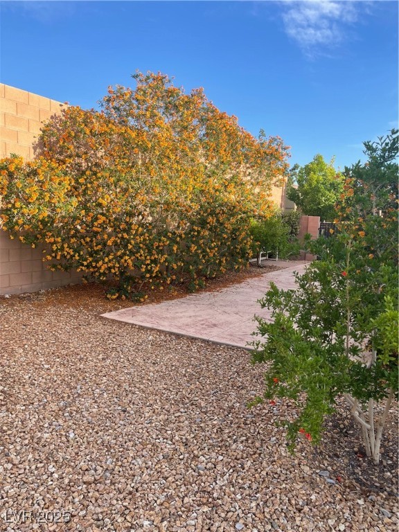9731 Addie Meadow Court Property Photo 33