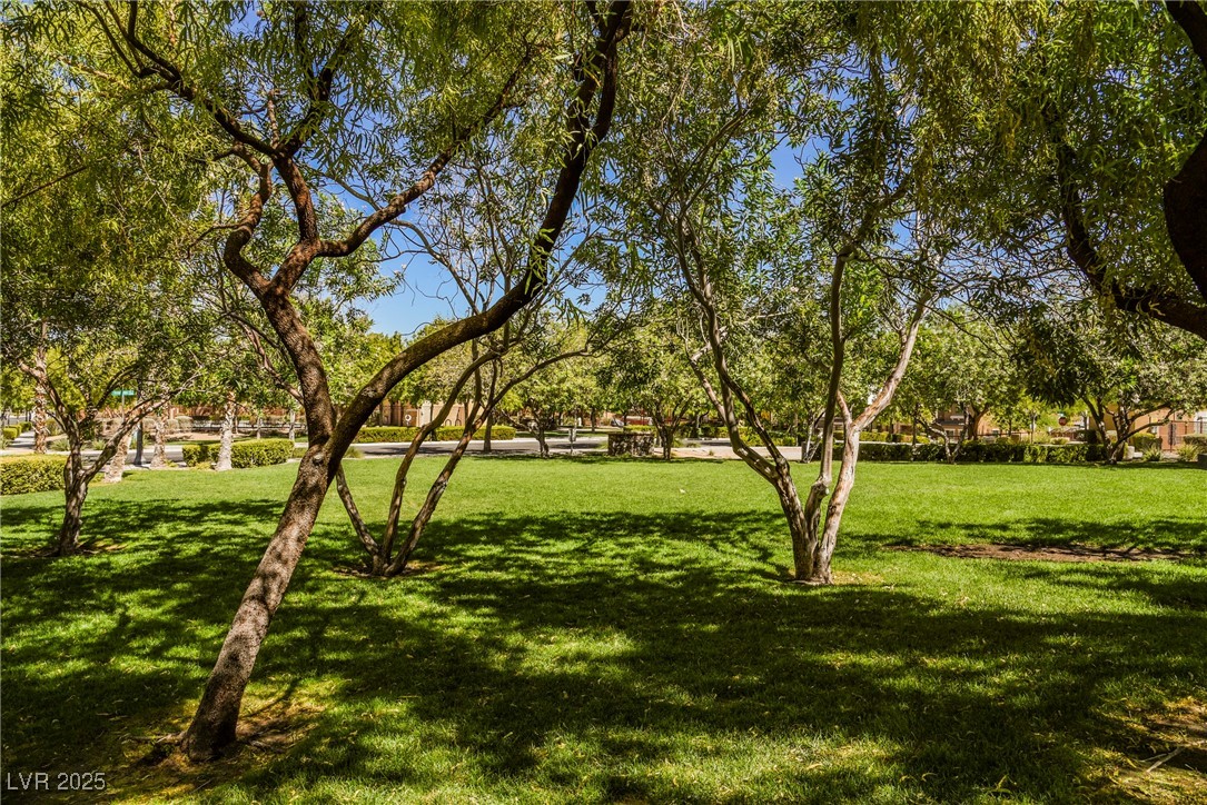 7649 Calico Fields Street Property Photo 37