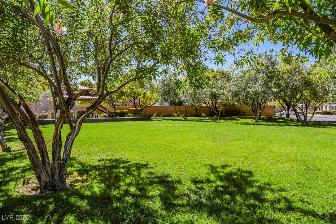 7649 Calico Fields Street Property Photo 42