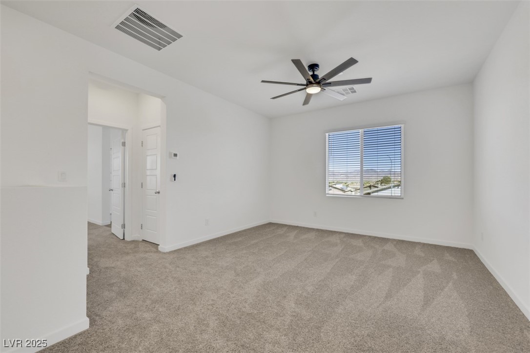 310 Walsh Peak Avenue Property Photo 11