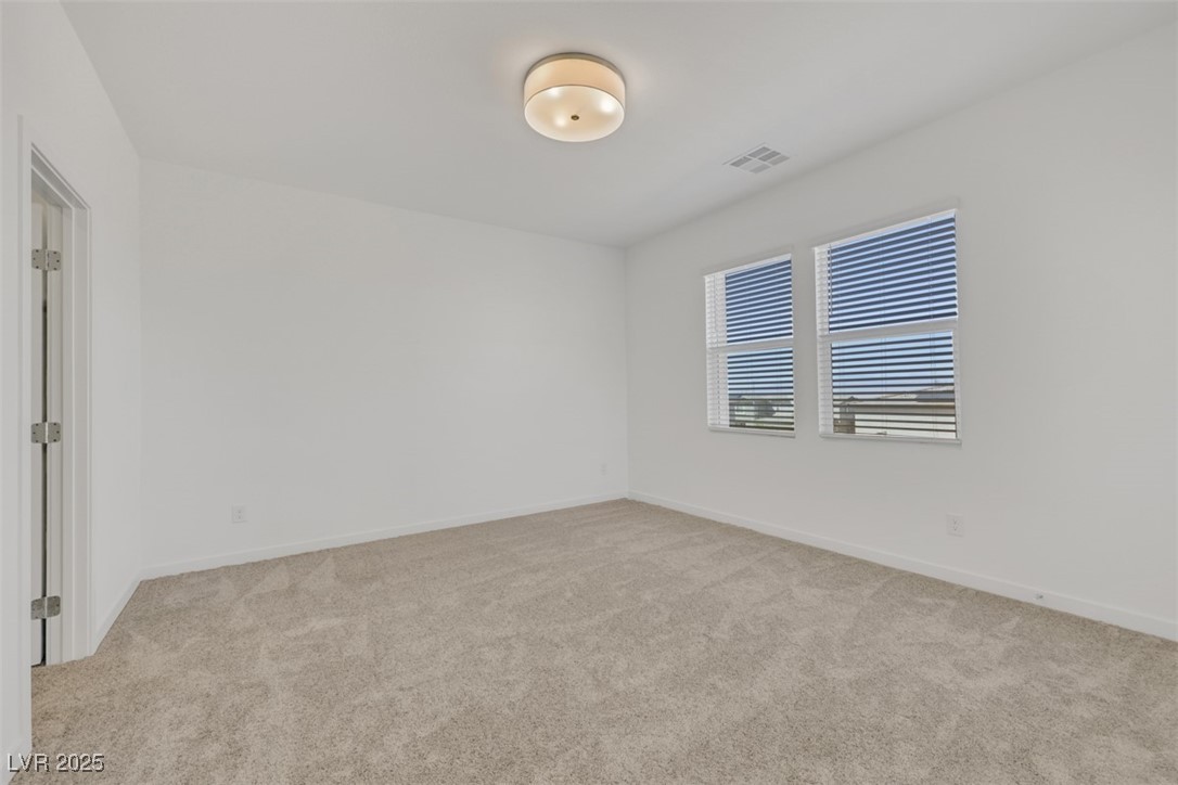 310 Walsh Peak Avenue Property Photo 17