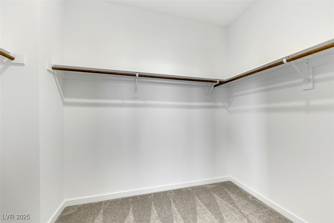 310 Walsh Peak Avenue Property Photo 19