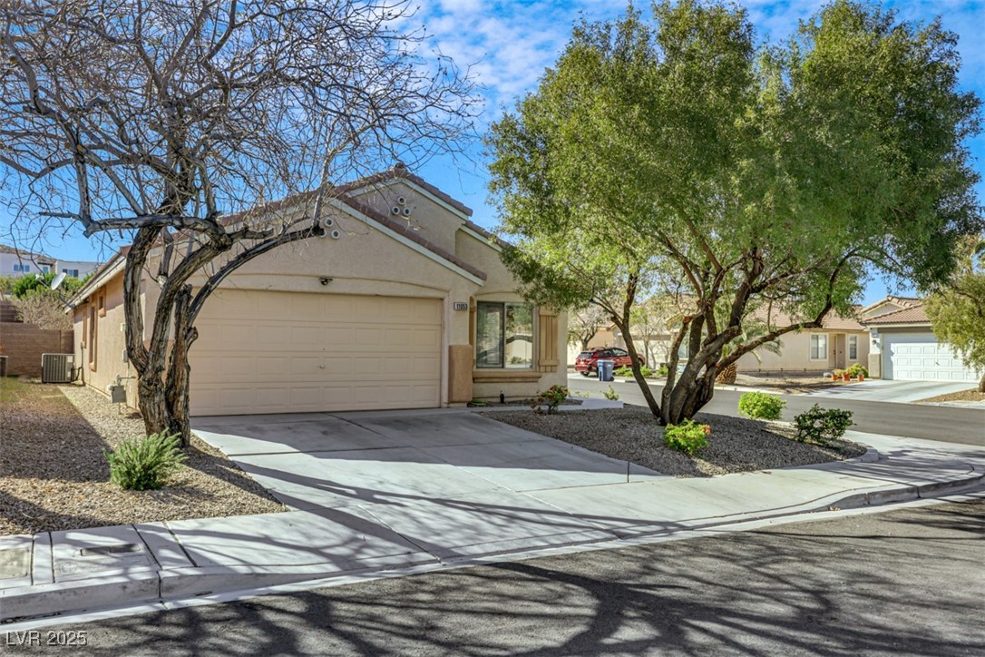 11053 Cusumano Court Property Photo