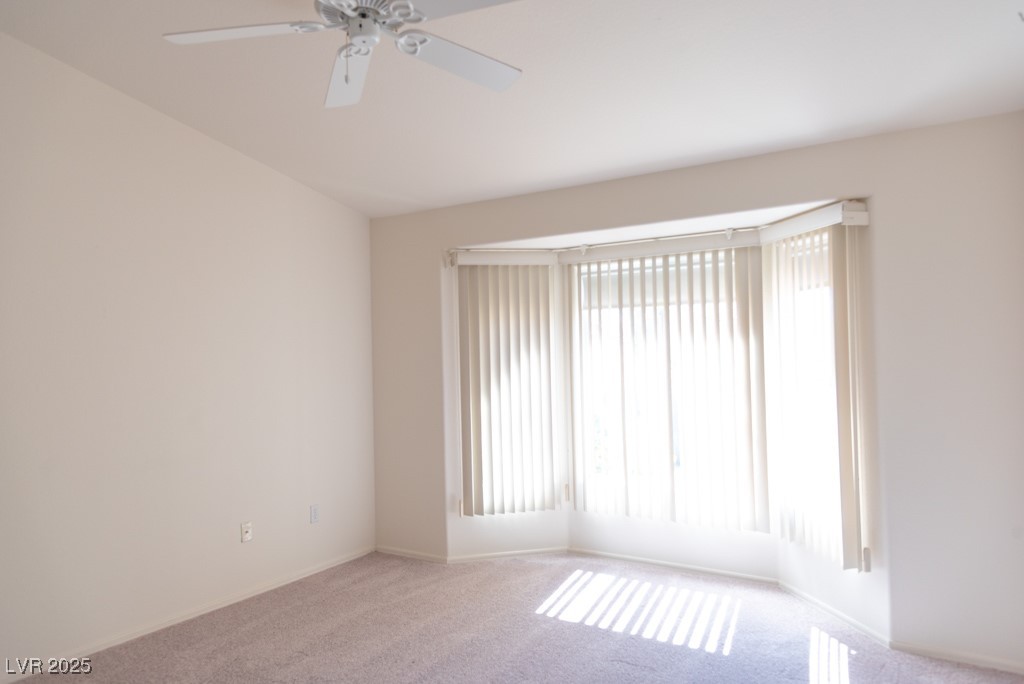11009 Hawk Valley Avenue Property Photo 17