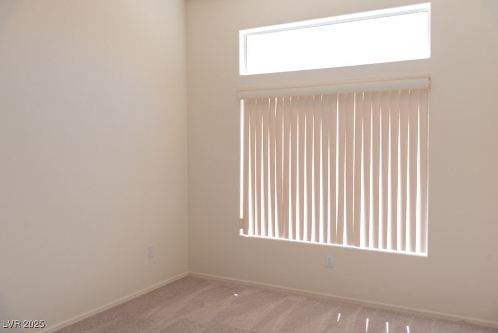 11009 Hawk Valley Avenue Property Photo 20