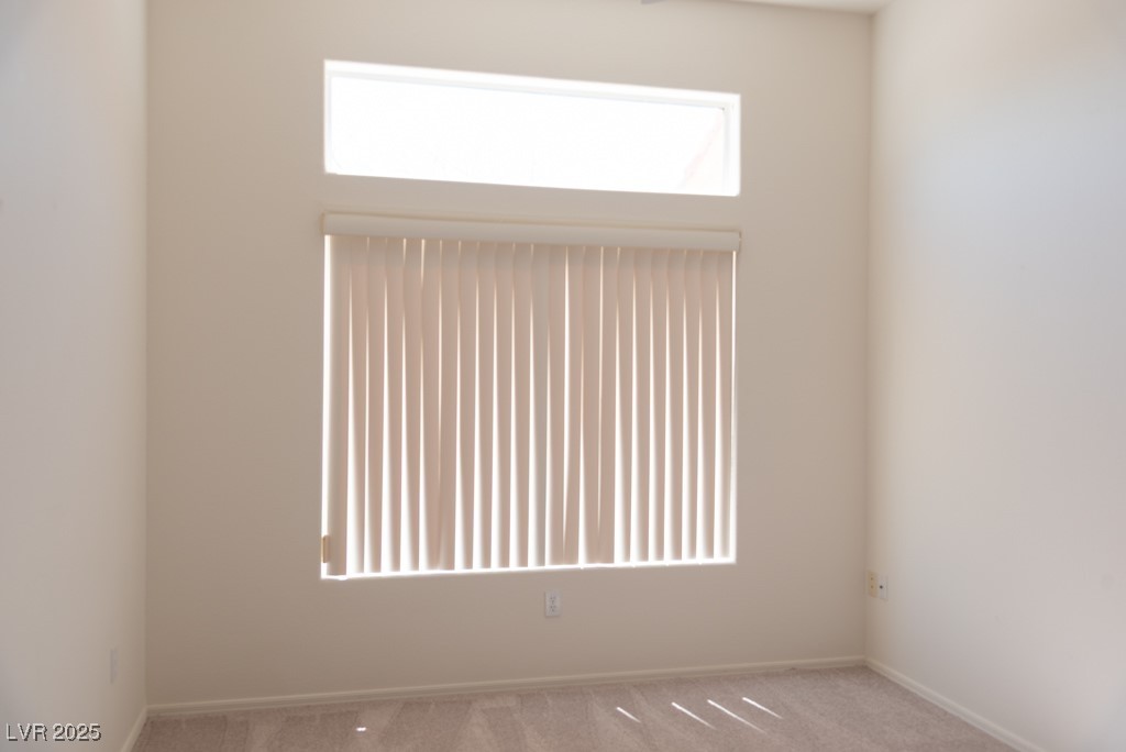 11009 Hawk Valley Avenue Property Photo 21