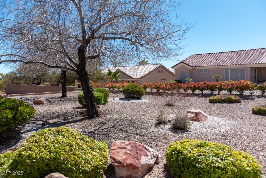 11009 Hawk Valley Avenue Property Photo 28