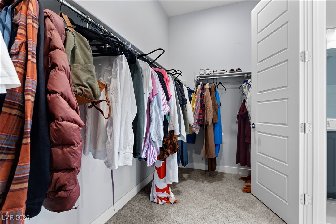 10158 Super Jovian Street Property Photo 23