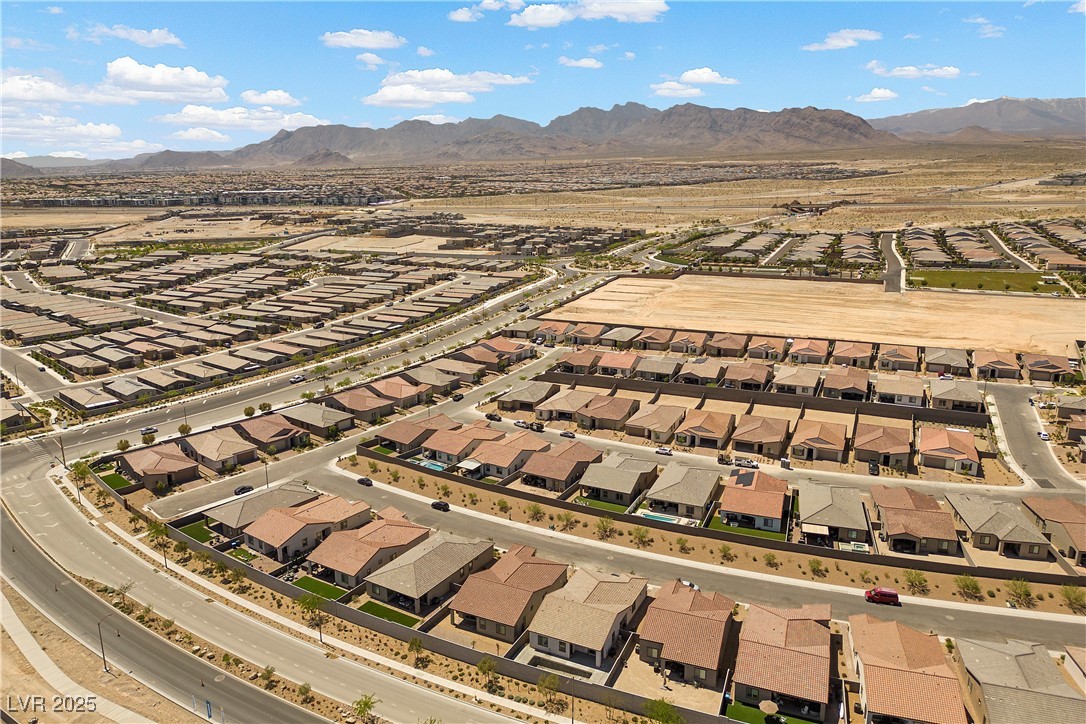 10158 Super Jovian Street Property Photo 30