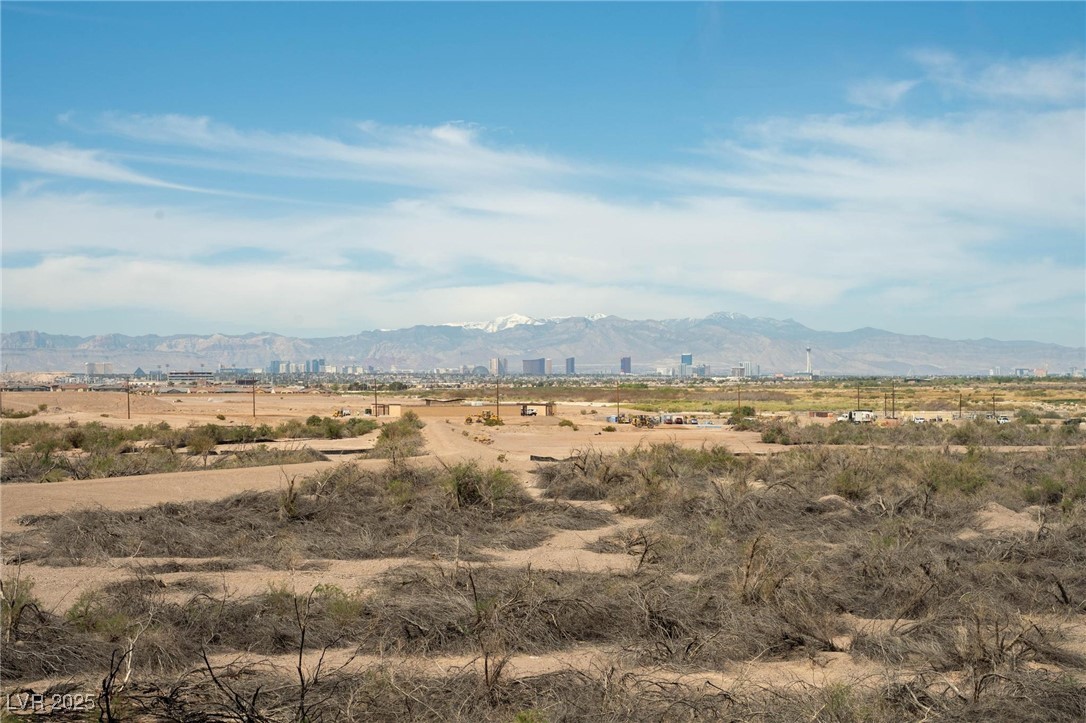 1141 Cactus Rock Street Property Photo 43