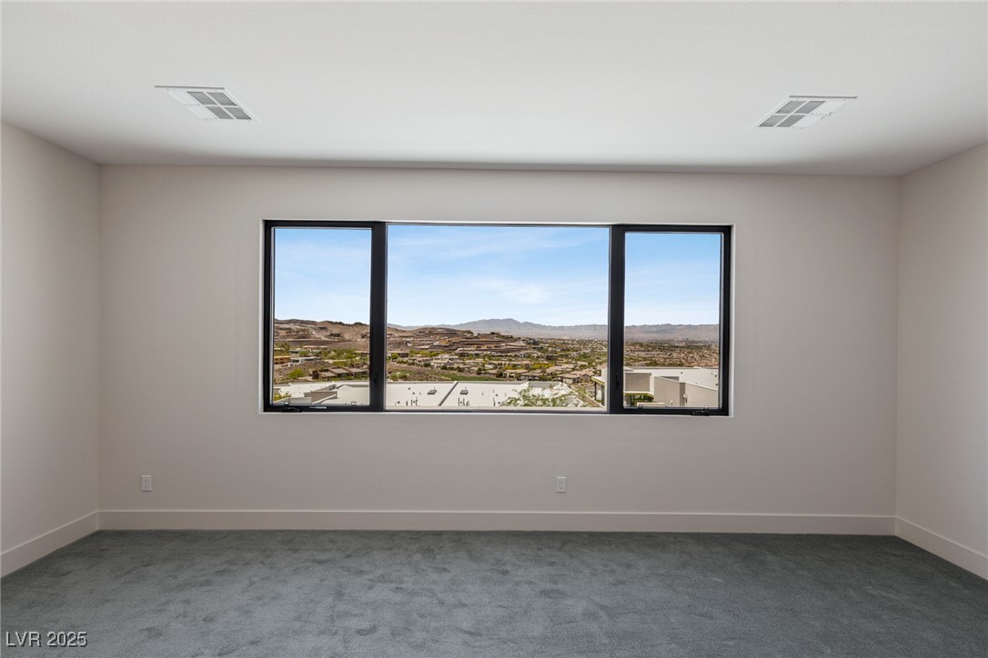 454 Tranquil Peak Court Property Photo 44